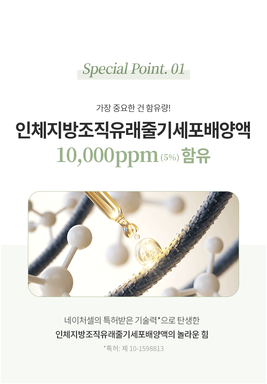 stemcell_10